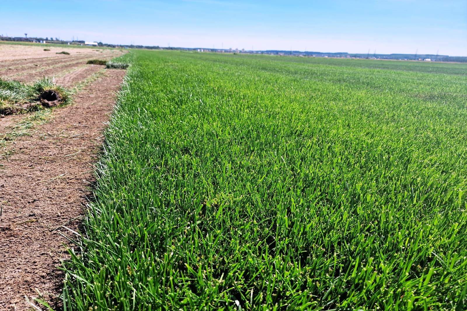 WhatsApp Image 2025-07-06 at 16.08.10